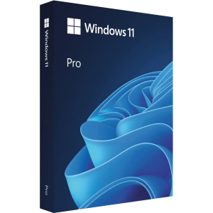 Microsoft Windows 11 Professional