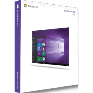 Microsoft Windows 11 Professional