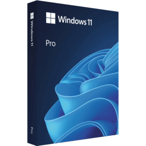 Microsoft Windows 11 Professional